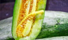 吃千万网红的瓜,揭秘千万网红背后的惊人瓜料